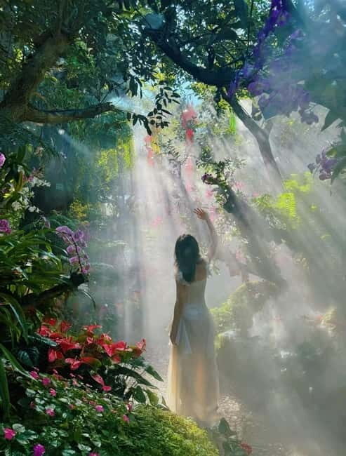 Chiang Rai IG Lalitta Cafe and White, Blue, Red Temples Tour - Key Points