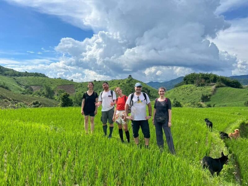 Chiang Rai: Jungle Adventure-Group Trekking & Bamboo Cooking - How the Tour Balances Value and Experience