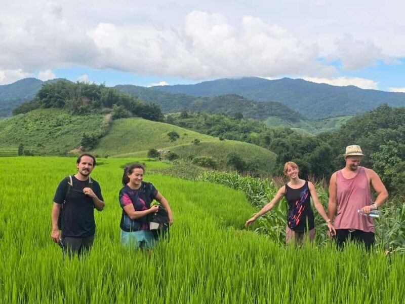 Chiang Rai: Jungle Adventure-Group Trekking & Bamboo Cooking - Who Will Love This Tour?