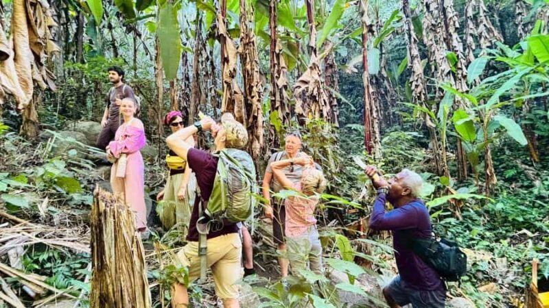 Chiang Rai: Jungle Adventure-Group Trekking & Bamboo Cooking - FAQ
