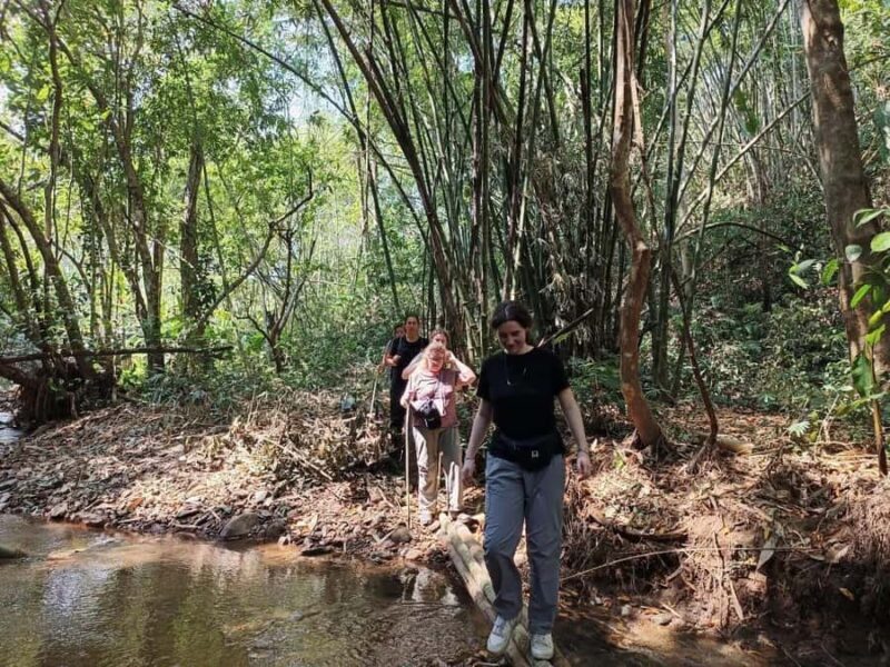 Chiang Rai: Jungle Trek, Waterfall, and Bamboo Raft Tour - An Authentic Day Out in Chiang Rai