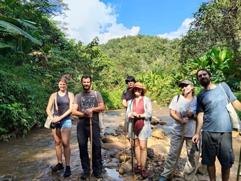 Chiang Rai: Jungle Trek, Waterfall, and Bamboo Raft Tour - Why It’s Great Value