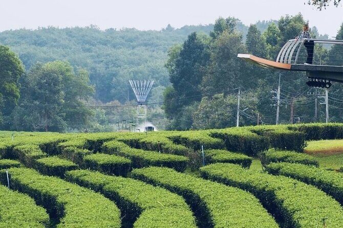 Chiang Rai Temple and Tea Plantation Private Tour from Chiang Mai - Optional: Lalitta Cafe