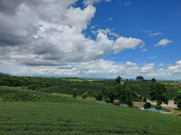 chiang-rai-temple-treasures-popular-sightseeings-buffet