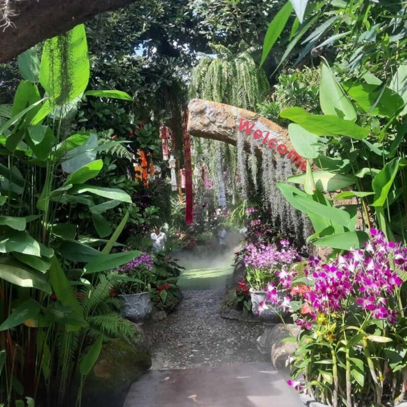 Chiang Rai: Temples Trip with Sang Kaew and Lalitta Cafe - The Journey Begins: Pickup and Hot Springs