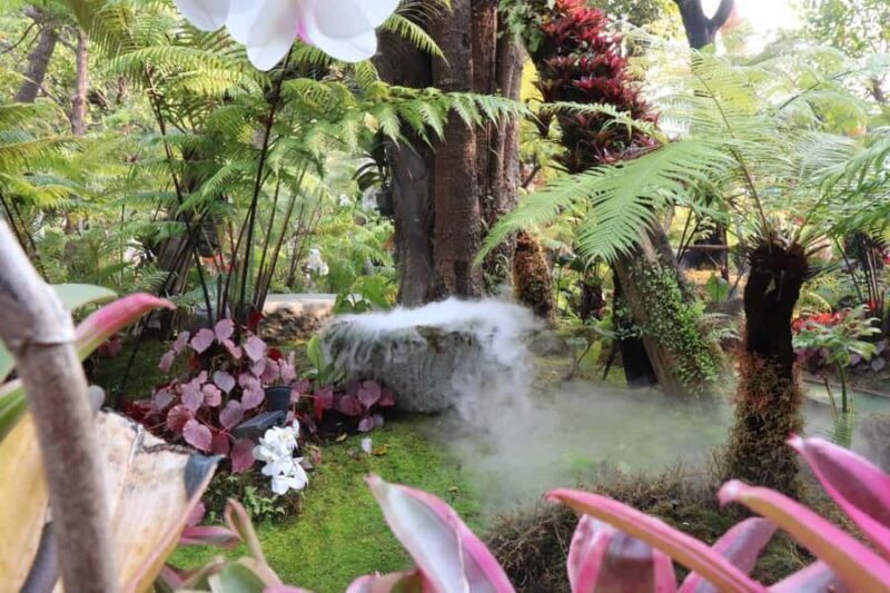 Chiang Rai: Temples Trip with Sang Kaew and Lalitta Cafe - Analyzing the Value