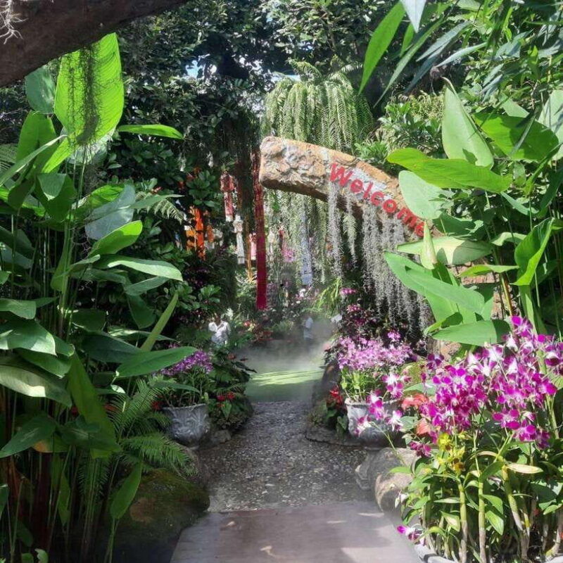 chiang-rai-temples-trip-with-sang-kaew-and-lalitta-cafe