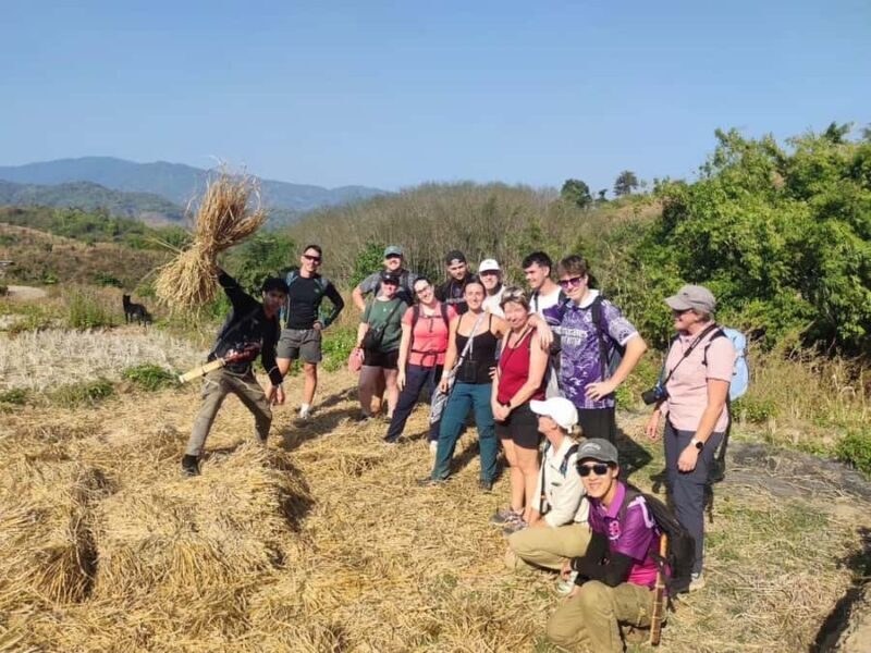 Chiang Rai: Temples, Waterfall, & Hot Springs Tour - Key Points