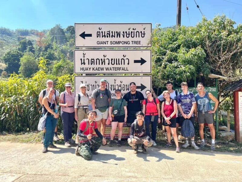 Chiang Rai: Temples, Waterfall, & Hot Springs Tour - Introduction to the Chiang Rai Temples, Waterfall, & Hot Springs Tour