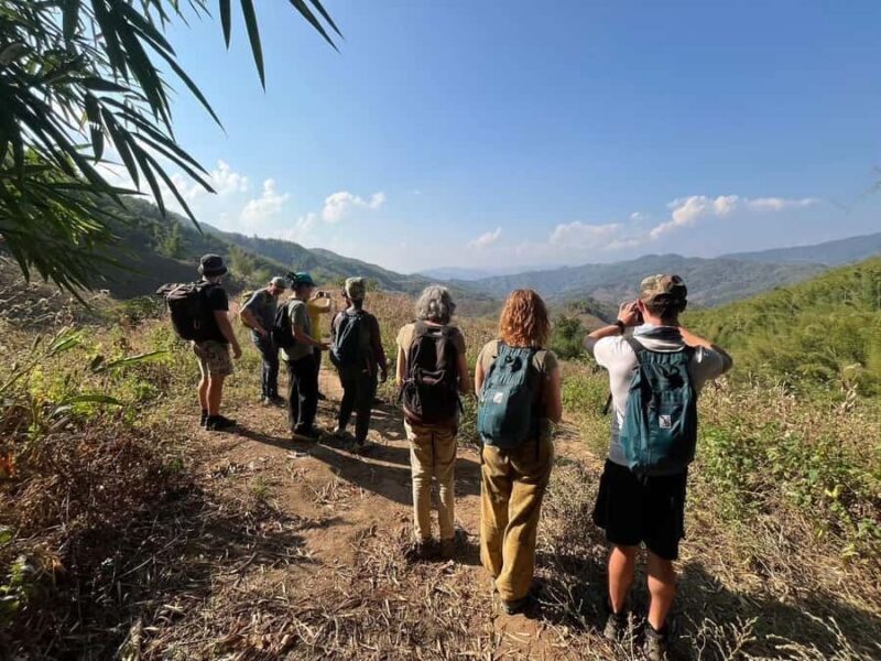 Chiang Rai: Temples, Waterfall, & Hot Springs Tour - The Experience from Review Insights