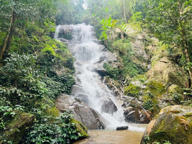 Chiang Rai: The Adventure of Trekking & Bamboo Cooking - Key Points