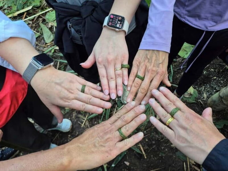 Chiang Rai: The Adventure of Trekking & Bamboo Cooking - Authentic Experiences and Expert Guides