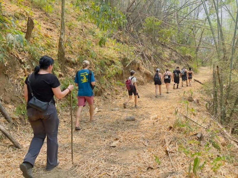 Chiang Rai: The Adventure of Trekking & Bamboo Cooking - Who Will Love This Tour?