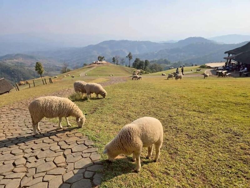 Chiang Rai to Chiang Mai: Private Scenic Transfer Tour - What Makes This Tour Special