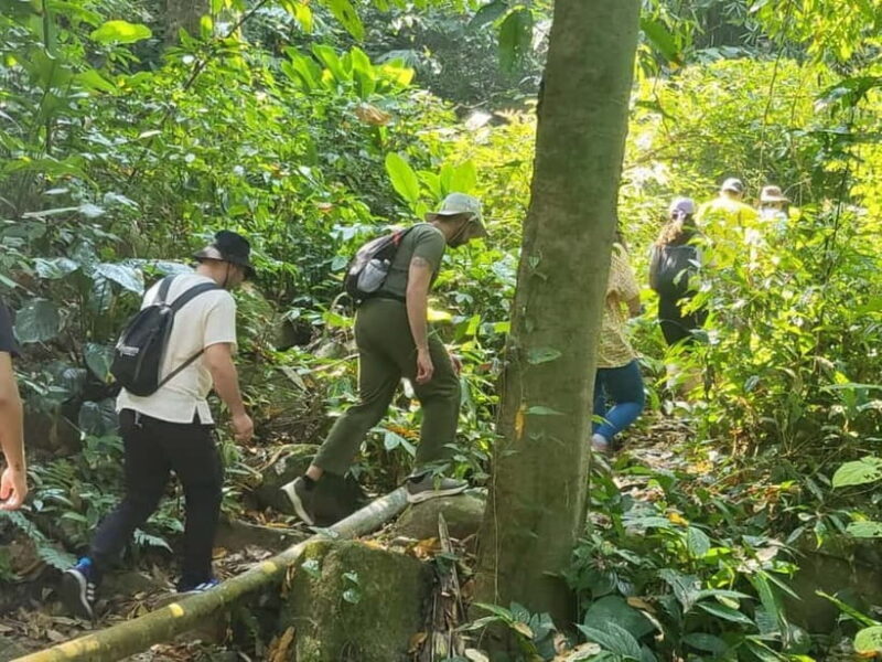 Chiang Rai: Trekking, Bamboo Cooking, and Hot Springs Tour - Practical Details and What to Bring