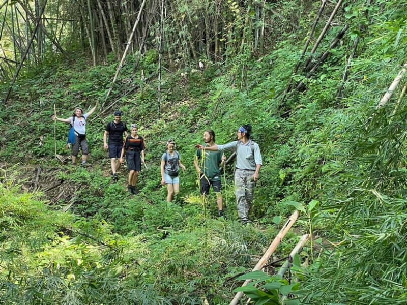 Chiang Rai: Trekking, Bamboo Cooking, and Hot Springs Tour - What the Tour Includes and Excludes