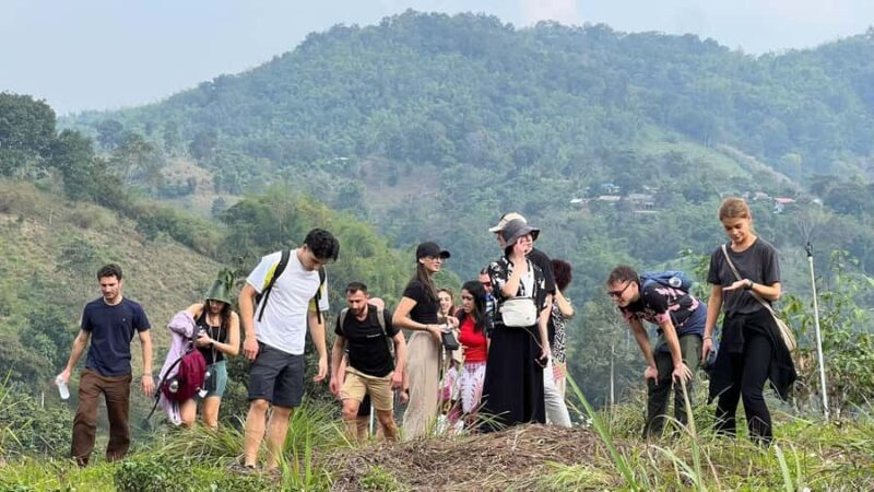 Chiang Rai: Unforgettable Trekking Tour with Bamboo Cooking - What You Can Expect from This Jungle Trekking Experience