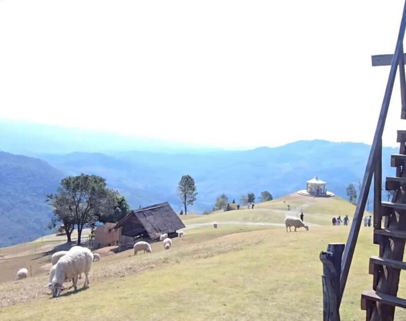 Chiang Rai: White Temple, Doi Chang, & Hot Springs Tour - An In-Depth Look at the Chiang Rai White Temple, Doi Chang & Hot Springs Tour