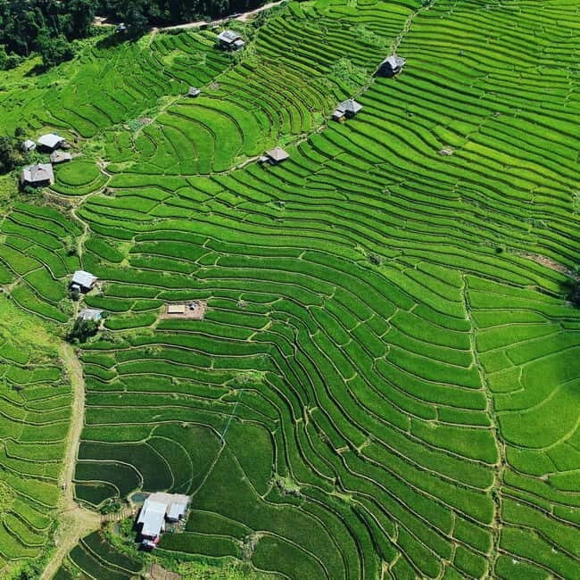 Chiangmai : Doi Inthanon unseen spot , Rice terrace & temple - Key Points