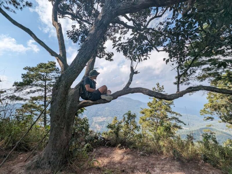 Chiangmai : Doi Pui Summit Hiking Experience - Key Points