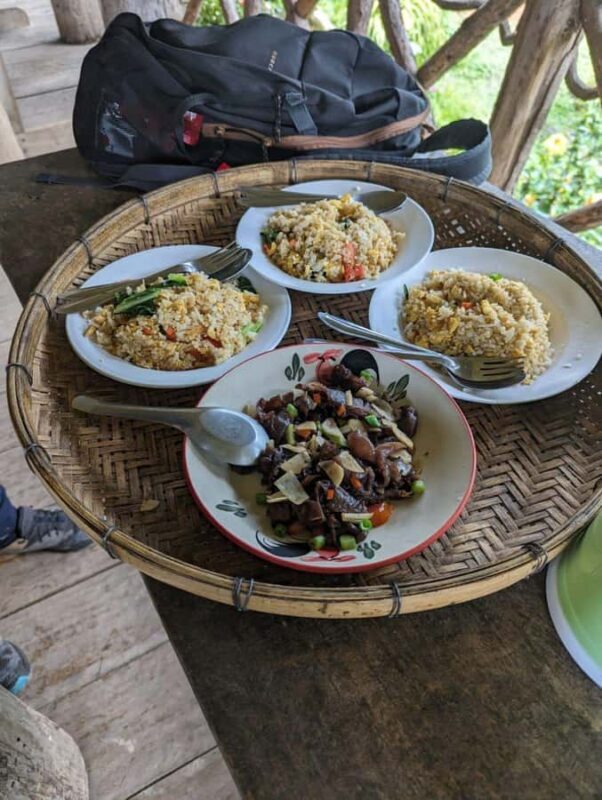 Chiangmai : Doi Pui Summit Hiking Experience - How the Tour Balances Fun, Culture, and Fitness