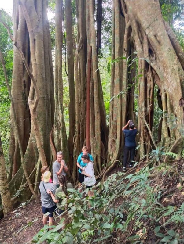 Chiangmai : Doi Pui Summit Hiking Experience - FAQs about the Doi Pui Summit Hiking Experience