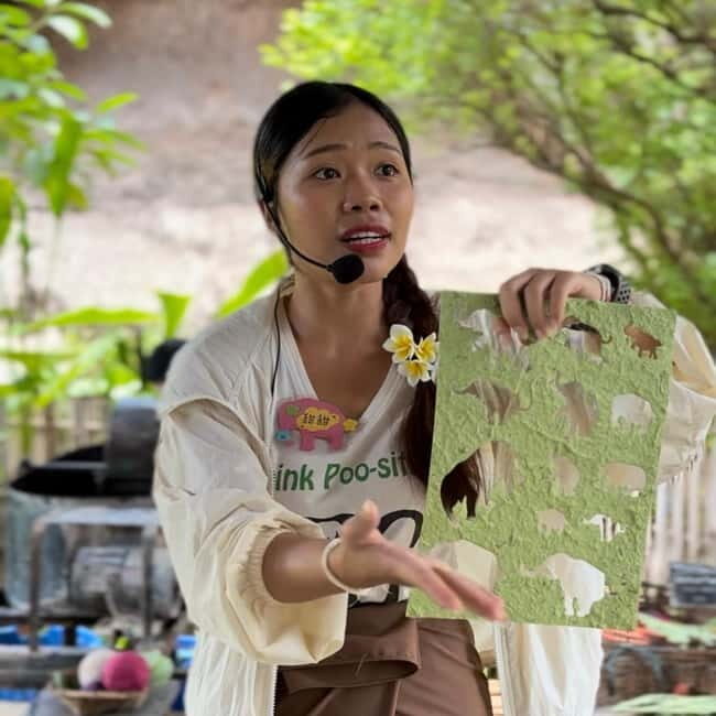 ChiangMai Elephant POOPOOPAPER Park Optional StickyWaterfall - Practical Details and Value