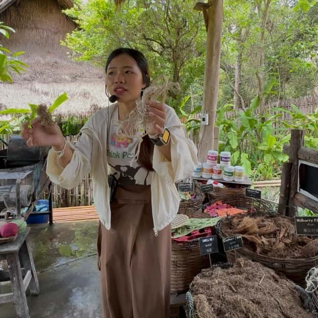 ChiangMai Elephant POOPOOPAPER Park Optional StickyWaterfall - The Sum Up