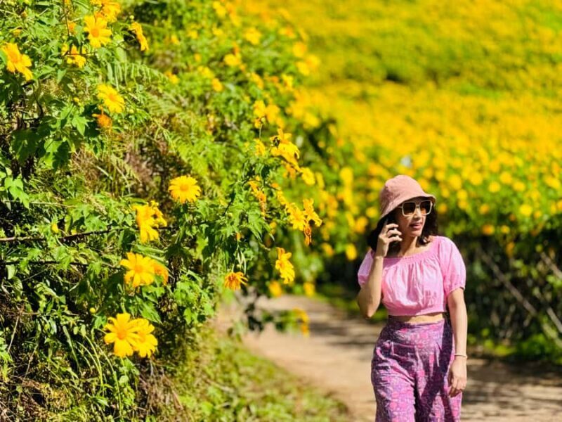 Chiangmai : Experience the magic of Mexican Sunflower field - Who Should Take This Tour?