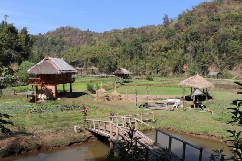 Chiangmai: Highlights Full-Day Tour with Private Driver - Key Points