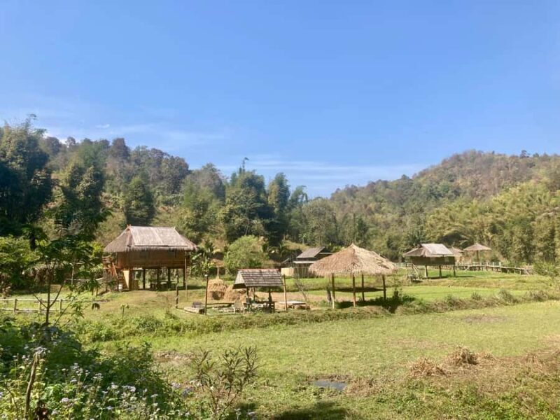 Chiangmai: Highlights Full-Day Tour with Private Driver - Why Choose a Private Full-Day Tour in Chiang Mai?