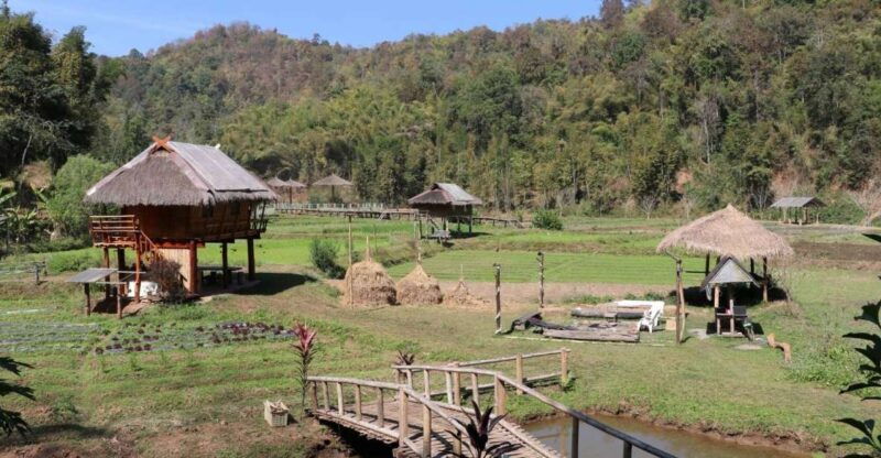 chiangmai-highlights-full-day-tour-with-private-driver