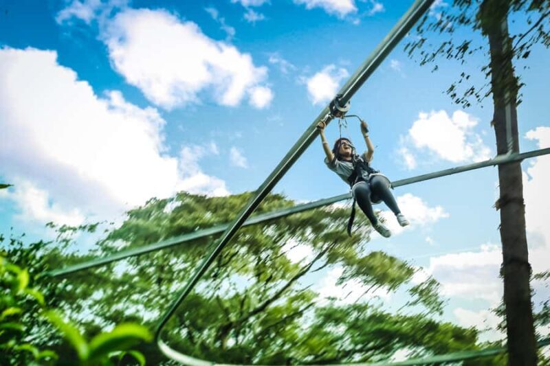 CHIANGMAI: Jungle Flight Zipline and Thai Cooking Class - Introduction