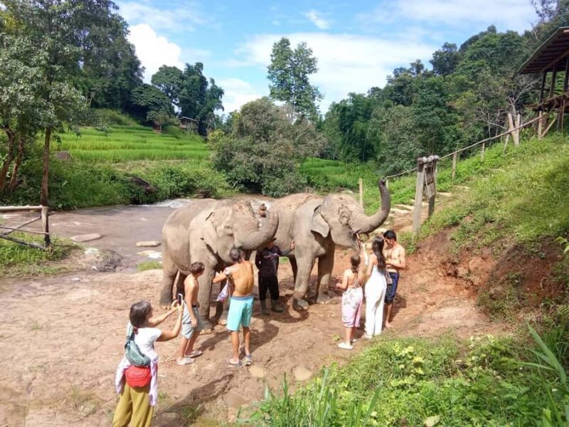 Chiangmai: Karen Weaving and Rafting Tour - Key Points