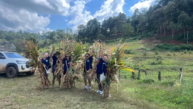 Chiangmai Overnight Trip with Ethical Elephant Santuary - Key Points