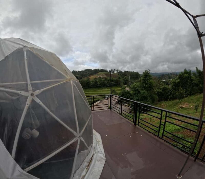 Chiangmai Overnight Trip with Ethical Elephant Santuary - Authentic Experiences and Reviews