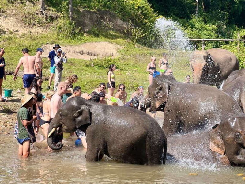 chiangmai-overnight-trip-with-ethical-elephant-santuary