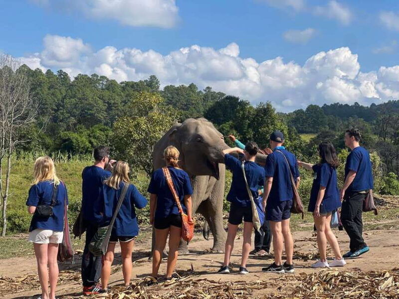chiangmai-overnight-trip-with-ethical-elephant-santuary