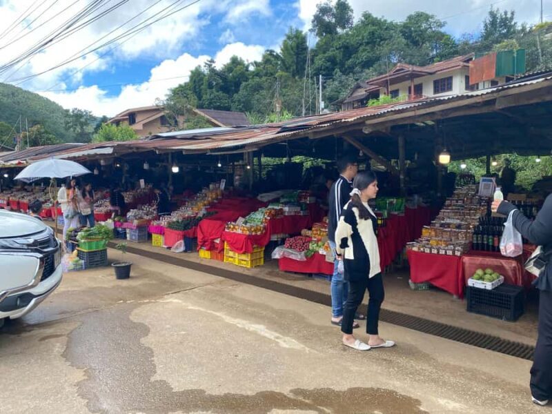 Chiangmai Overnight with Doi Inthanon National Park tour - A Deep Dive into the Tour Experience