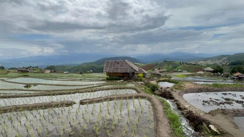 chiangmai-overnight-with-doi-inthanon-national-park-tour