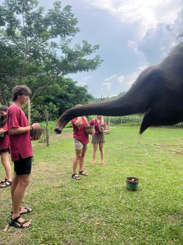 Chiangmai : Take care elephants+poopaper, sticky waterfalls - Overview of the Experience