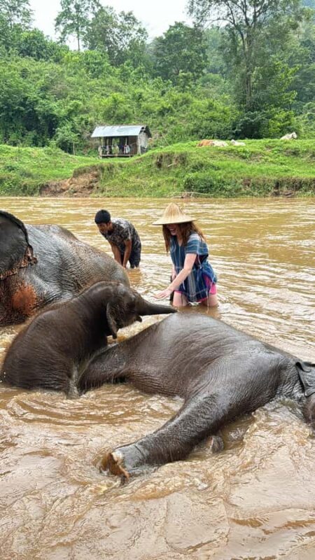 Chiangmai : Take care elephants+poopaper, sticky waterfalls - What to Expect and Practical Tips