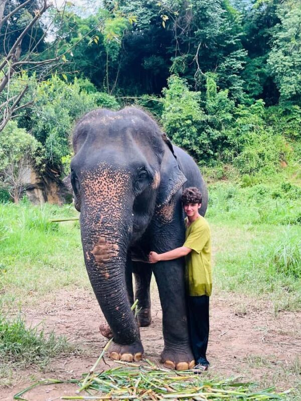 Chiangmai : Take care elephants+poopaper, sticky waterfalls - Final Thoughts