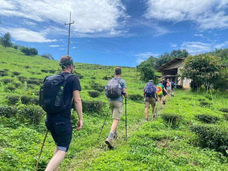 chiangrai-group-trekking-with-bamboo-cooking