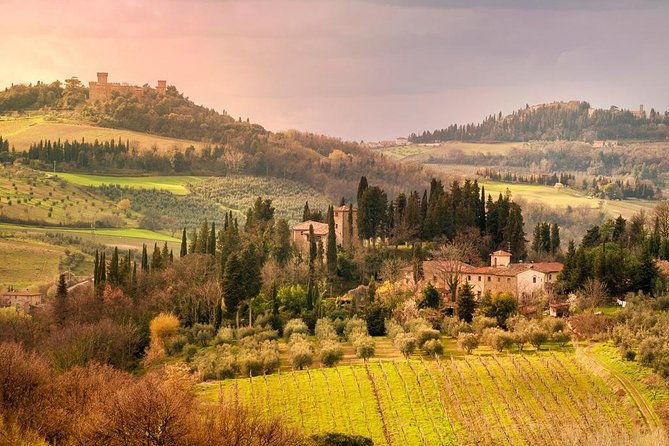 chianti-and-castle-small-group-tour-from-san-gimignano-2