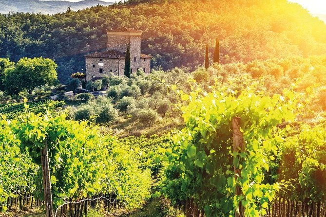 chianti-and-castle-small-group-tour-from-san-gimignano-2