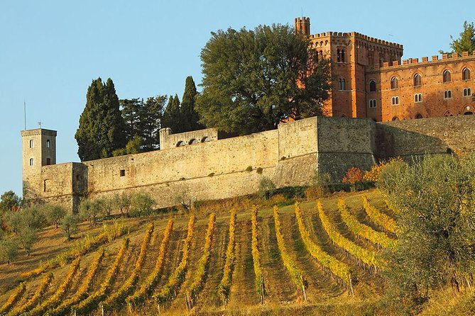 chianti-and-castle-small-group-tour-from-san-gimignano