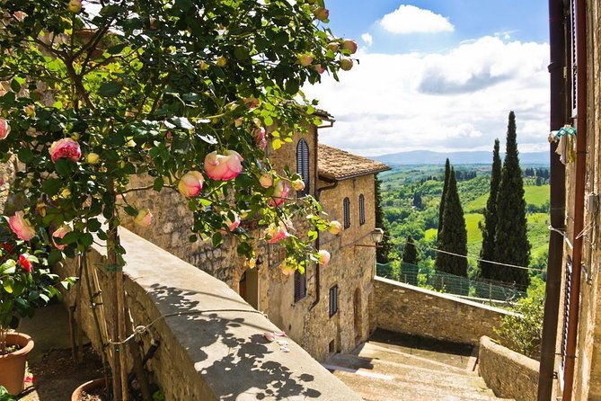 chianti-and-castle-small-group-tour-from-san-gimignano