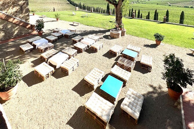 chianti-and-castle-small-group-tour-from-siena-with-wine-tasting