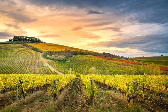 chianti-and-castles-tour-from-san-gimignano-small-group